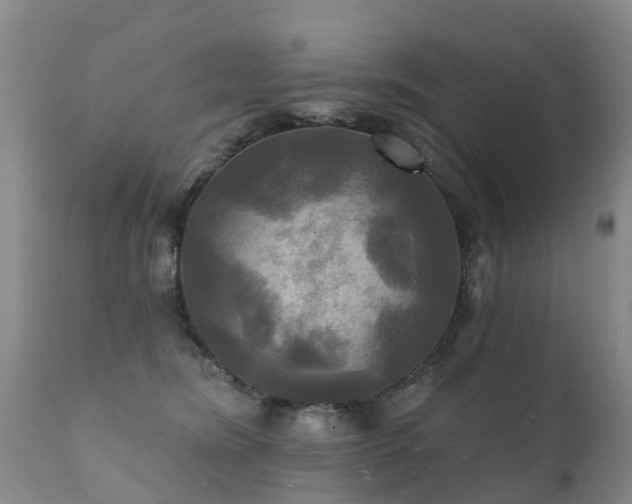 X0000112100420200908111422