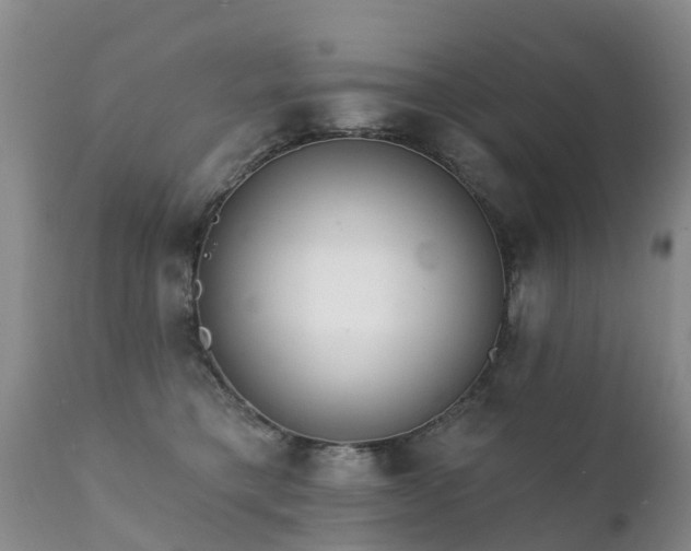 X0000112100421200908111422