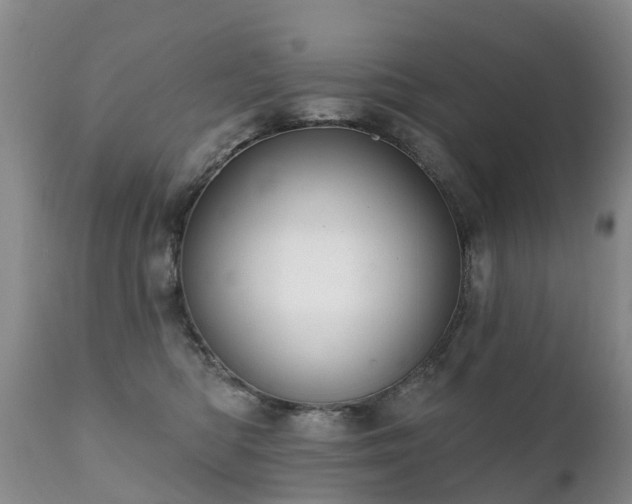 X0000112100422200908111422