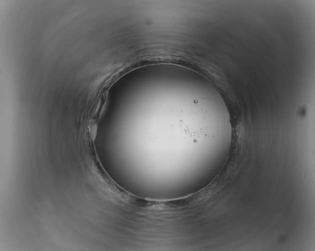 X0000112100423200908111422
