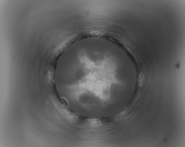 X0000112100424200908111422