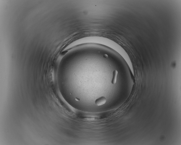 X0000112100425200908111422
