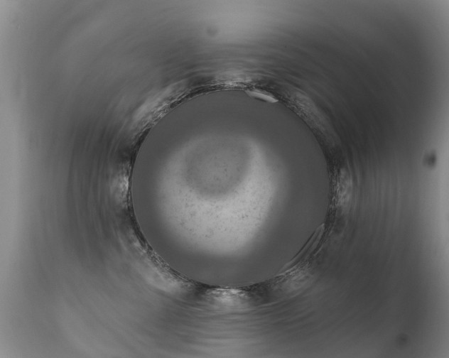 X0000112100427200908111422