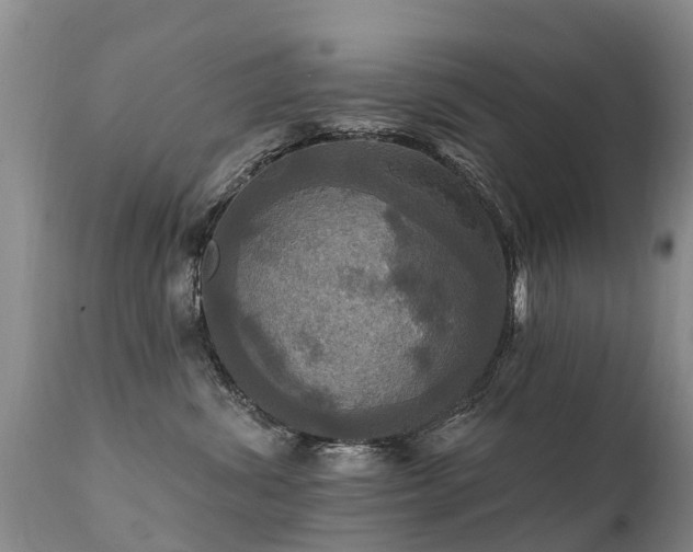 X0000112100428200908111422