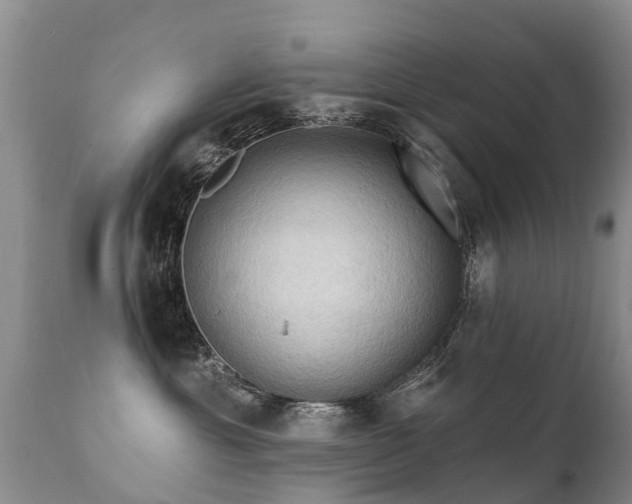 X0000112100429200908111422