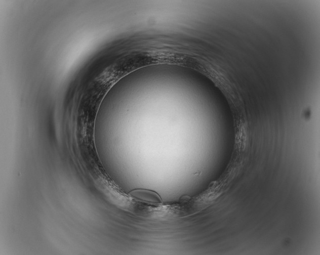 X0000112100430200908111422