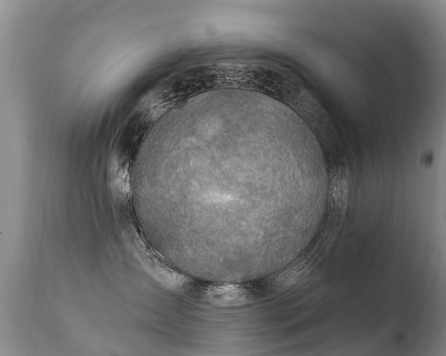 X0000112100431200908111422