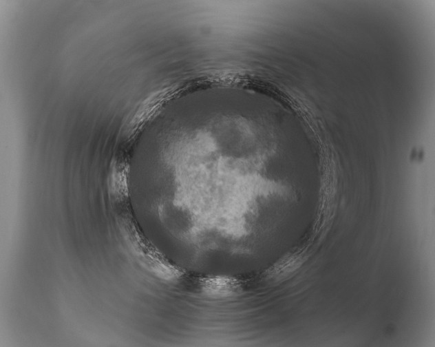 X0000112100432200908111422