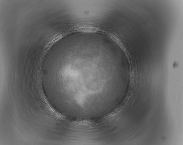 X0000112100433200908111421