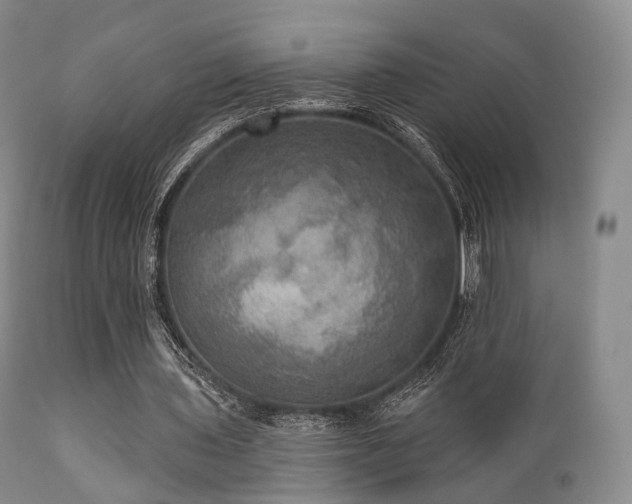 X0000112100435200908111421