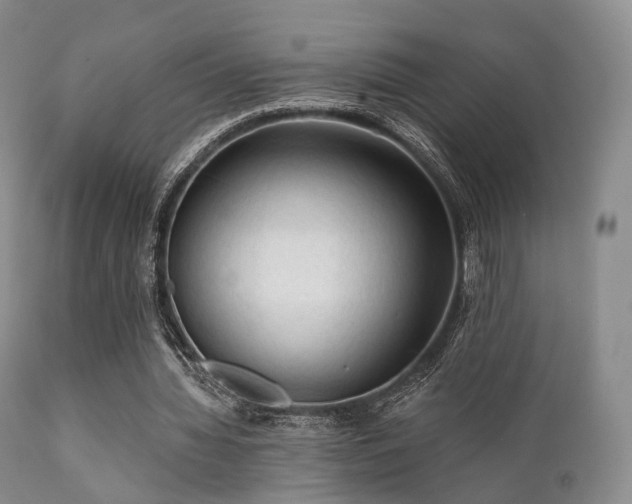 X0000112100436200908111421