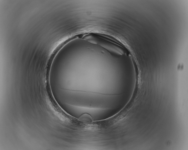X0000112100438200908111421