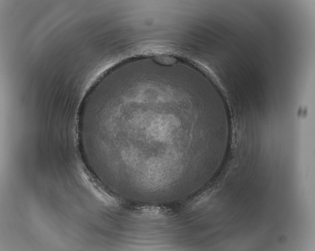 X0000112100439200908111421