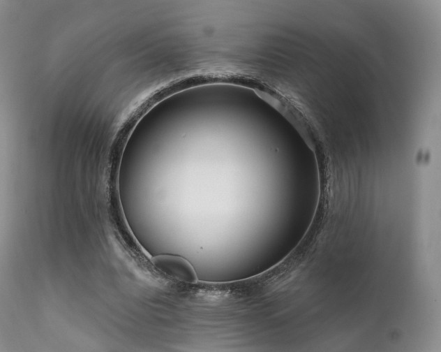 X0000112100440200908111421
