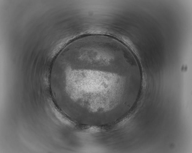 X0000112100441200908111422
