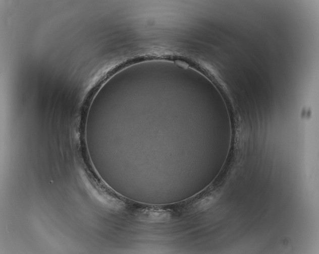 X0000112100443200908111422