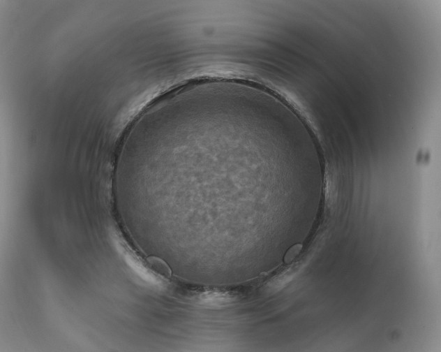 X0000112100445200908111422
