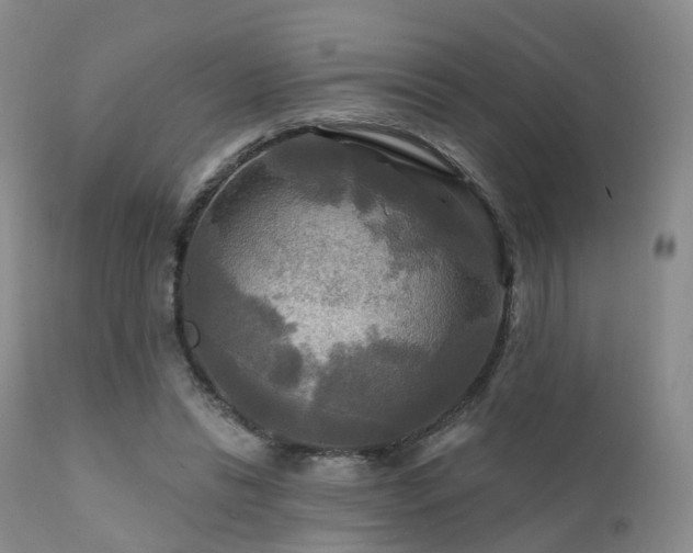 X0000112100446200908111422