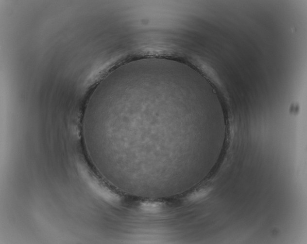 X0000112100450200908111422