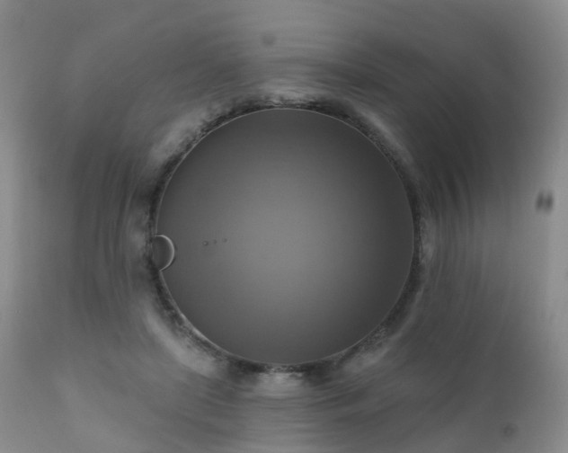 X0000112100451200908111422