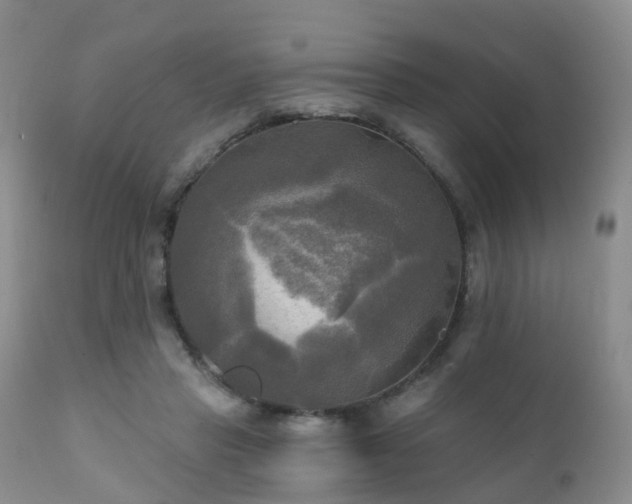 X0000112100453200908111422