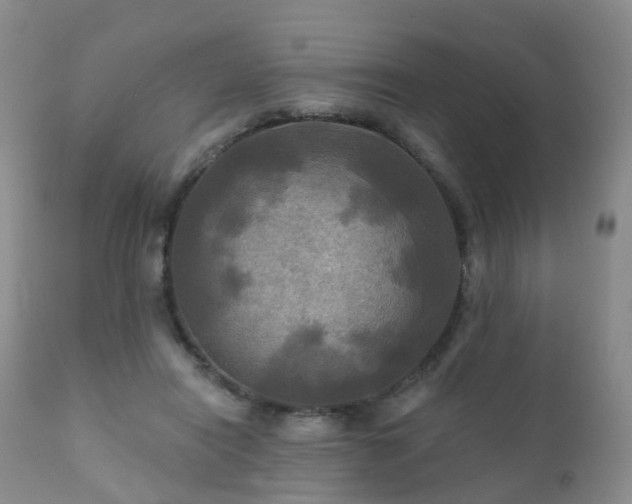 X0000112100454200908111422