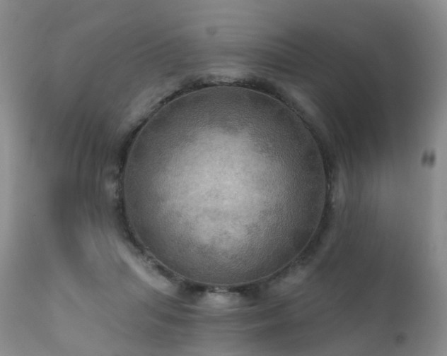 X0000112100455200908111422