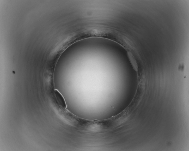 X0000112100456200908111422