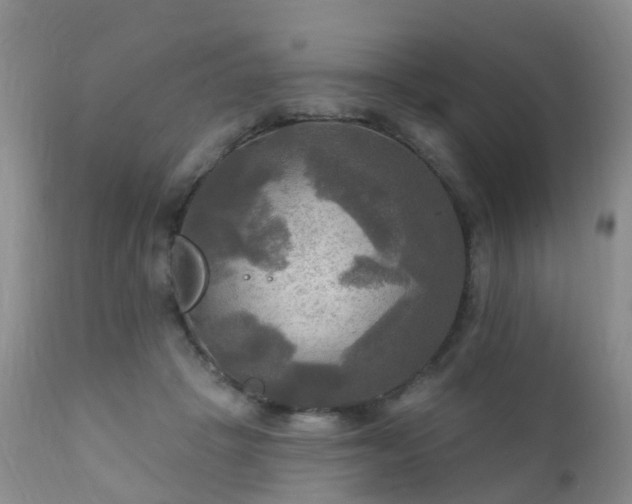X0000112100457200908111422