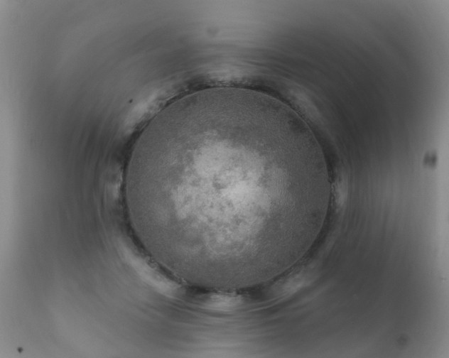X0000112100458200908111422