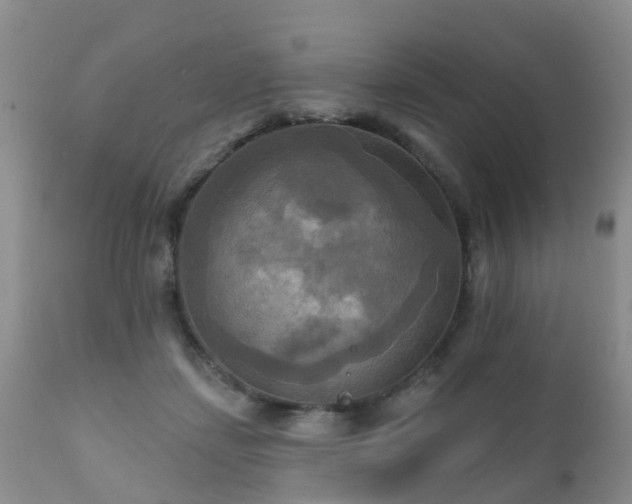 X0000112100459200908111422