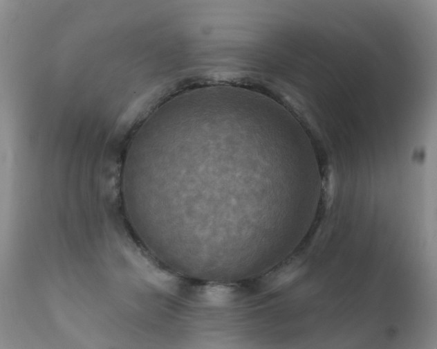X0000112100462200908111422