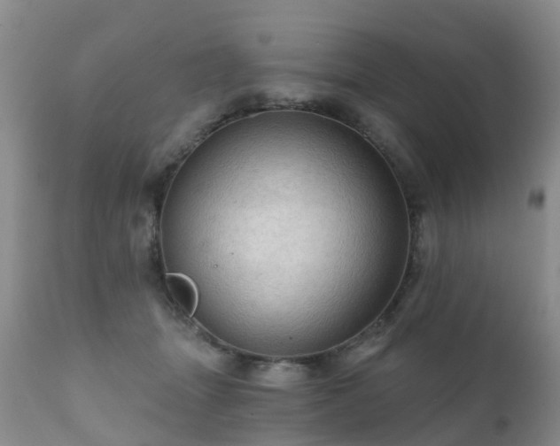 X0000112100463200908111422