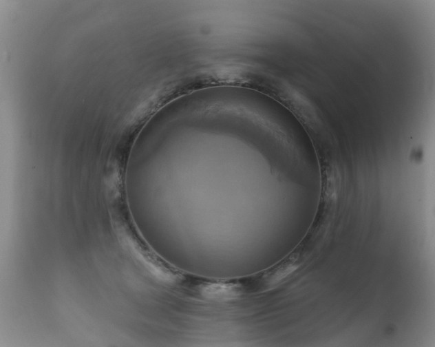 X0000112100465200908111422
