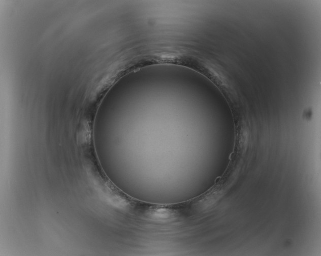 X0000112100467200908111422