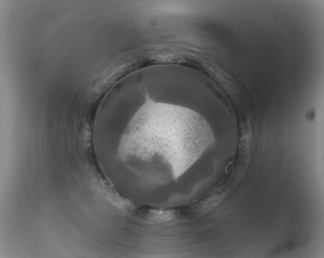X0000112100469200908111422