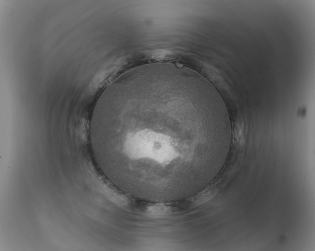 X0000112100470200908111422