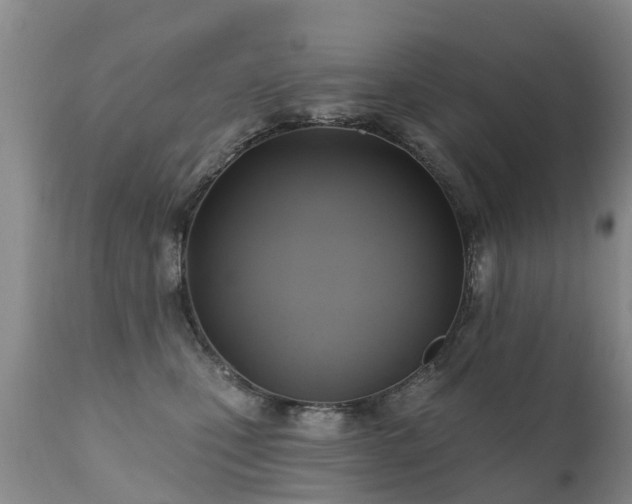 X0000112100471200908111422