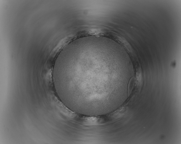 X0000112100473200908111422