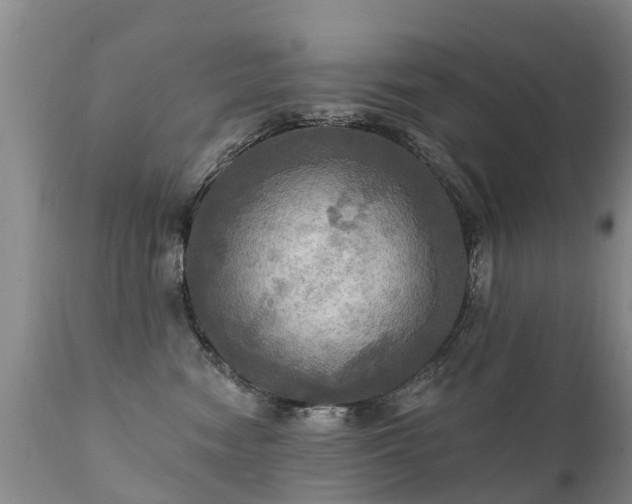 X0000112100474200908111422