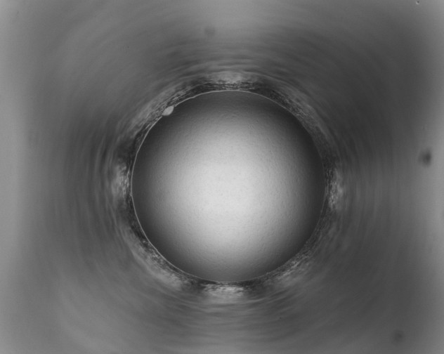X0000112100476200908111422
