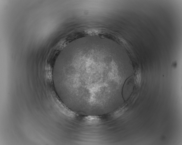 X0000112100477200908111422