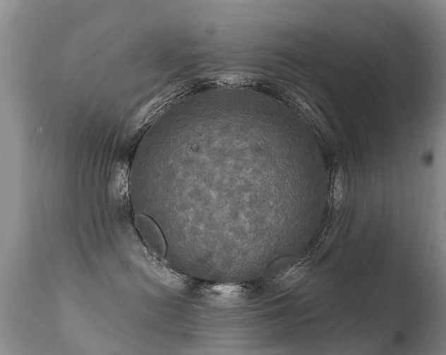 X0000112100478200908111422