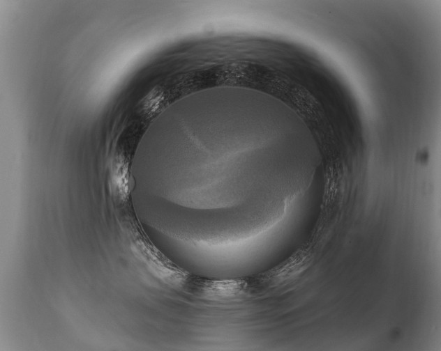 X0000112100479200908111422