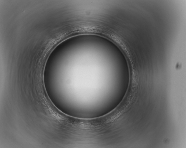 X0000112100481200908111421