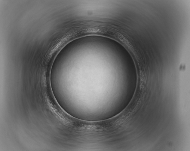 X0000112100482200908111421