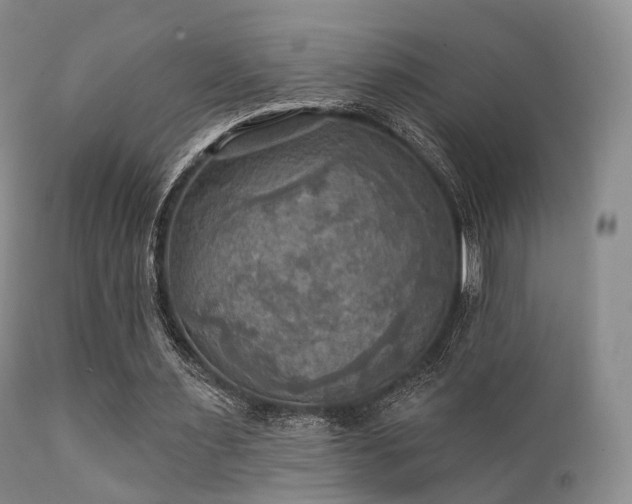 X0000112100483200908111421