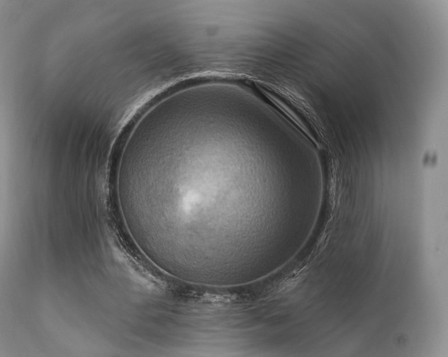 X0000112100484200908111421