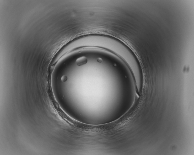 X0000112100485200908111421