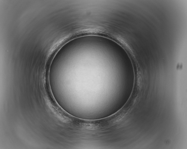 X0000112100486200908111421